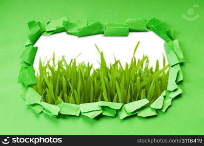 Torn paper with grass