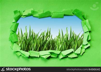 Torn paper with grass