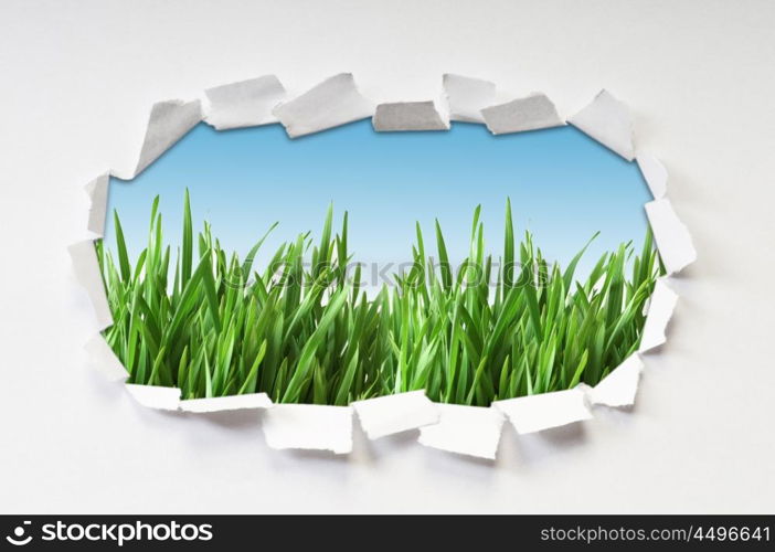 Torn paper with grass