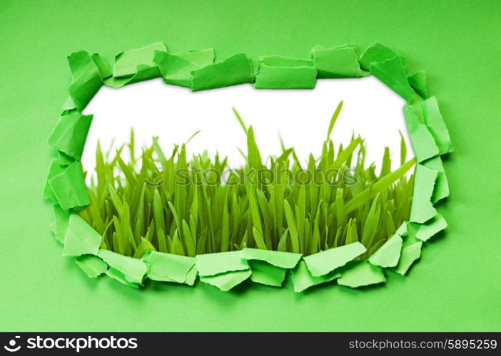 Torn paper with grass