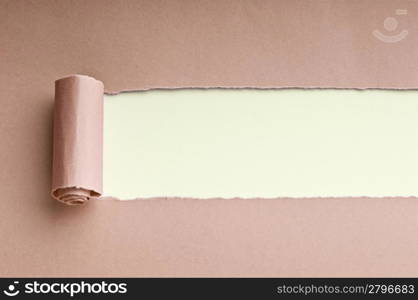 Torn paper with space for your message