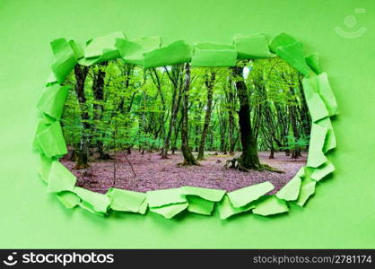 Torn paper with trees through the hole