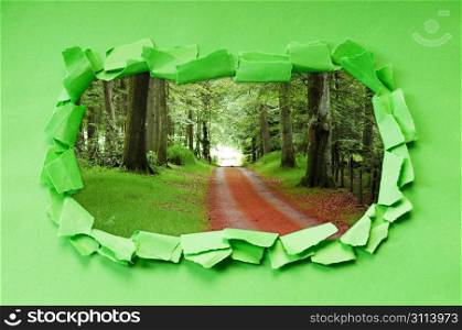 Torn paper with trees through the hole