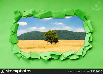 Torn paper with trees through the hole