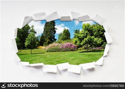 Torn paper with trees through the hole