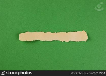 torn strips of newsprint on a green background