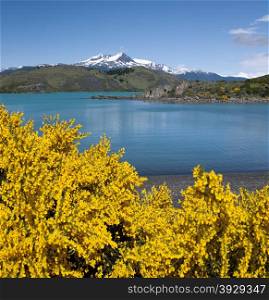Torres del Paine National Park in Patagonia in southern Chile