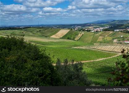 Torres Vedras Portugal. 18 May 2017.View of a vine field inTorres Vedras.Torres Vedras, Portugal. photography by Ricardo Rocha.