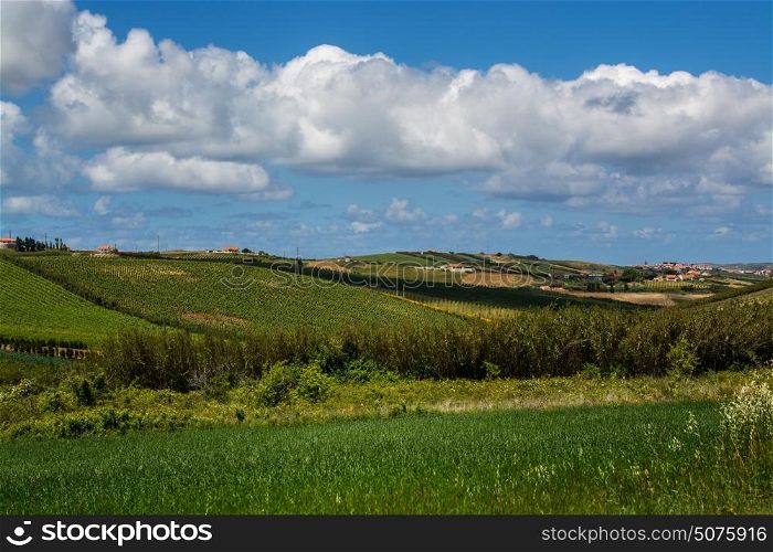 Torres Vedras Portugal. 18 May 2017.View of agriculture fields inTorres Vedras.Torres Vedras, Portugal. photography by Ricardo Rocha.