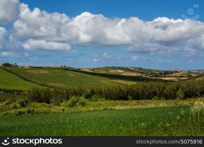 Torres Vedras Portugal. 18 May 2017.View of agriculture fields inTorres Vedras.Torres Vedras, Portugal. photography by Ricardo Rocha.
