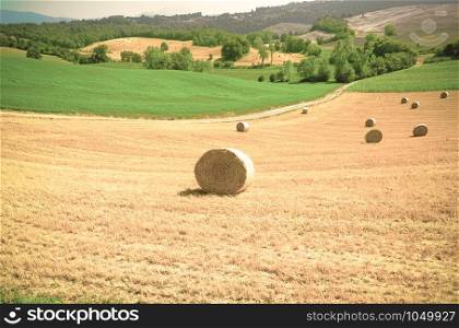 Toscana landscape of the wheat field with hay bales. Retro style