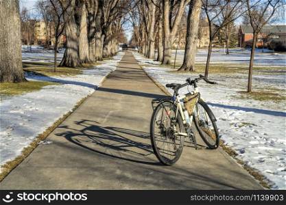 Touring bike with shadow in an allee of old American elm trees in winter scenery - historical Oval of Colorado State University campus, landmark of Fort Collins, commuting concept