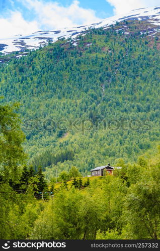 Tourism vacation and travel. Mountains landscape at summer and snowcapped mountain tops in the background, Norway, Scandinavia.. Mountains summer landscape in Norway.