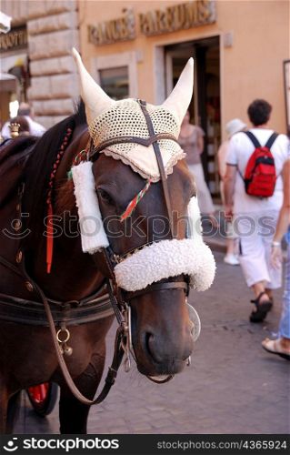 Tourist horse carriage, Rome