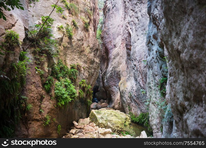 Tourist in Avakas Gorge. Paphos District, Cyprus. Famous small canyon in Sounh Cyprus.