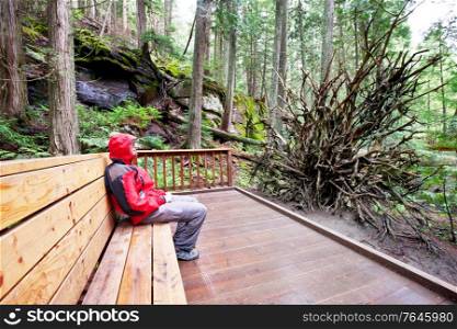 Tourist on bench in Hoh rain forest in Olympic national park, Washington, USA