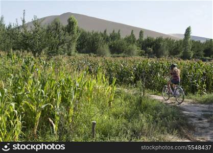 Tourist riding bicycle at farm, Dunhuang, Jiuquan, Gansu Province, China