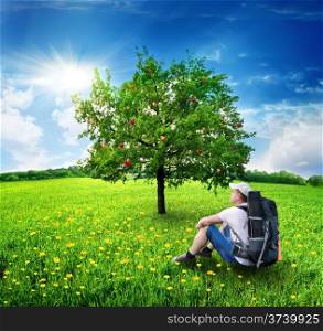Tourist sitting in the field near an apple-tree