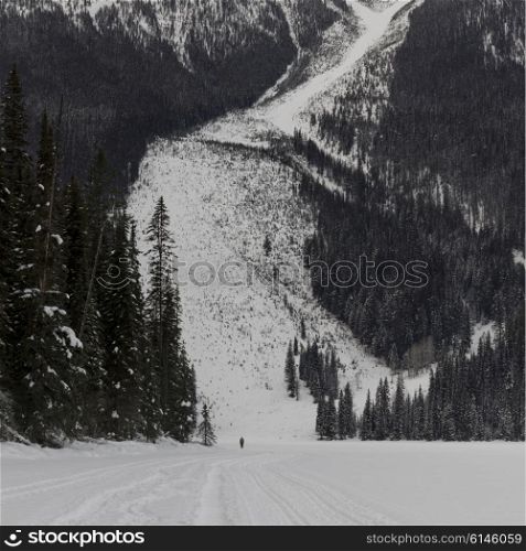 Tourist skiing in snow covered valley, Emerald Lake, Yoho National Park, British Columbia, Canada