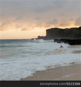 Tourist surfing on the beach, Sandy Beach, Hawaii Kai, Honolulu, Oahu, Hawaii, USA