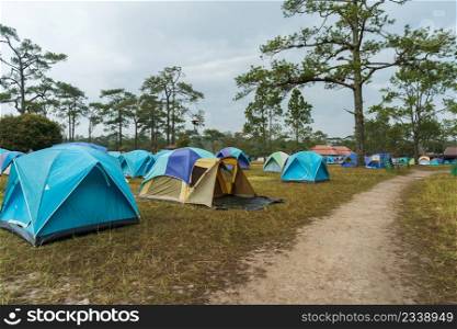 tourist tent on a meadow at Phu Kradueng, Loei province, Thailand