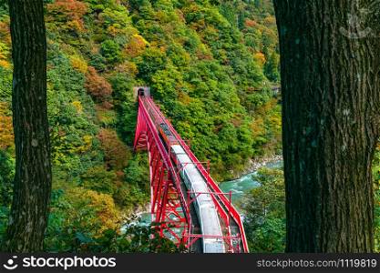 Tourist train run to the tunnel on a red bridge over the Kurobe River at the colorful foliage of autumn season on the mountain at Kurobe Gorge in Toyama Prefecture, Japan.