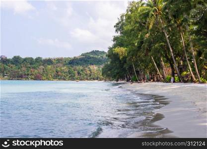 Tourist walk see the panorama of white sand beach with coconut palms taken on haad Klong Chao on tropical koh Kood island in Trat, Thailand.