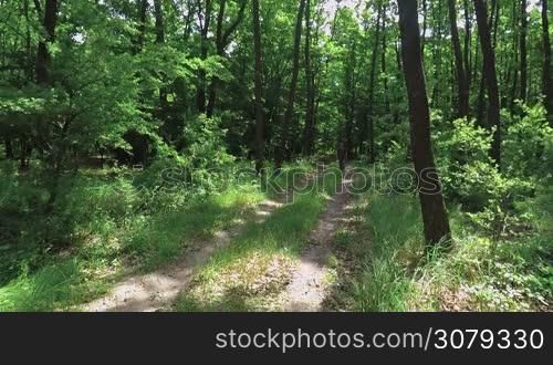 Tourist walking dirt path through a green forest