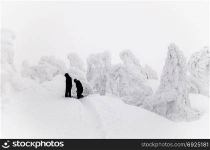 Tourist walking on trial of Snow monster tree - snow covered pine tree in Mt. Hakkoda, Aomori, Japan