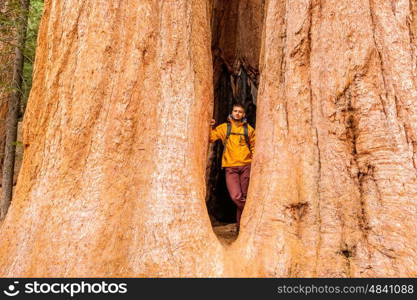 Tourist with backpack hiking in Sequoia National Park. California, United States.