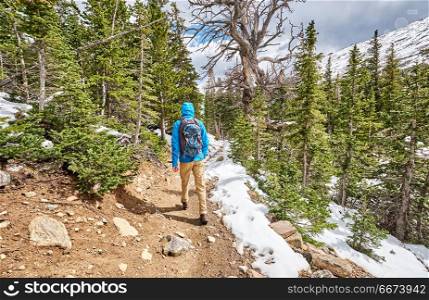 Tourist with backpack hiking on snowy trail. Tourist with backpack hiking on snowy trail in Rocky Mountain National Park, Colorado, USA.