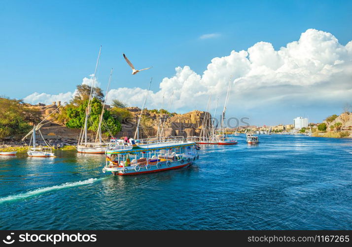 Touristic boats on Nile river in Aswan, Egypt