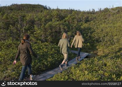 Tourists along Skerwink Trail, Port Rexton, Bonavista Peninsula, Newfoundland And Labrador, Canada