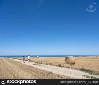 tourists and rolls of straw on field under blue sky with ocean in the background in french normandy