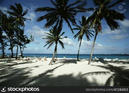 Tourists are seen relaxing on an exotic beach, Barbados