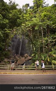 Tourists at a roadside, El Yunque Rainforest, Puerto Rico