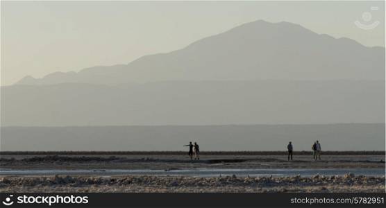 Tourists at Chaxa Lagoon, Los Flamencos National Reserve, San Pedro de Atacama, El Loa Province, Antofagasta Region, Chile