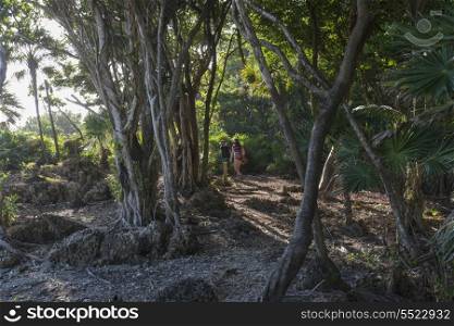 Tourists by trees on coast, Utila, Bay Islands, Honduras