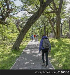 Tourists hiking on trail, Torres Del Paine National Park, Patagonia, Chile