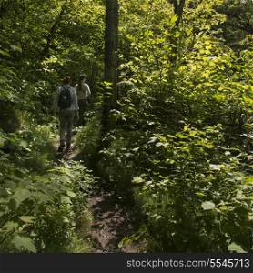 Tourists in a forest, Riding Mountain National Park, Manitoba, Canada
