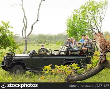 Tourists in jeep looking at cheetah standing on log