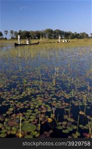 Tourists in moroko (canoes) on the Okavango Delta in Botswana
