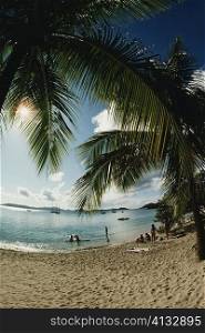 Tourists on a beach amidst palm trees, U.S. Virgin Islands
