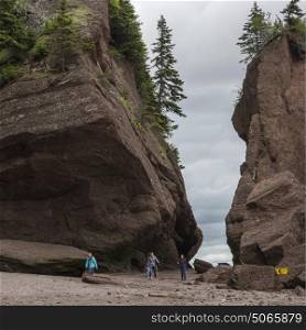 Tourists on beach at Hopewell Rocks, Bay of Fundy, New Brunswick, Canada