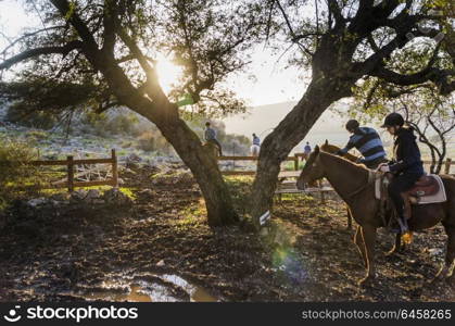 Tourists riding horses, Galilee, Israel