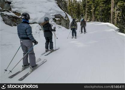 Tourists skiing in snow covered valley, Whistler, British Columbia, Canada