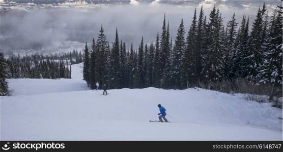 Tourists skiing in valley, Kicking Horse Mountain Resort, Golden, British Columbia, Canada