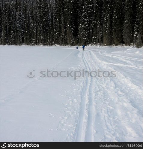 Tourists skiing on snow covered landscape, Emerald Lake, Field, British Columbia, Canada