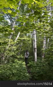 Tourists walking in a forest, Riding Mountain National Park, Manitoba, Canada
