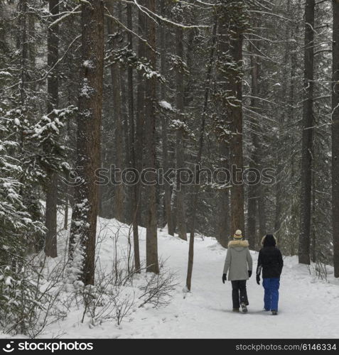 Tourists walking in snow covered forest, Johnston Canyon, Banff National Park, Alberta, Canada